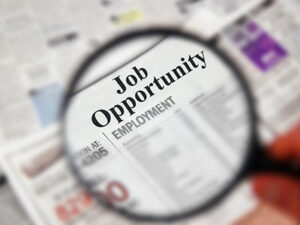 Job Employment image